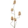 Ramo artificiale di garofano MARDUEN, beige, 115 cm, Ø 5 cm