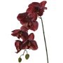 Orchidea Phalaenopsis artificiale LARDUEN, rosso bordeaux, 80 cm