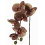 Orchidea Phalaenopsis artificiale LARDUEN, viola-verde, 75cm, Ø10cm