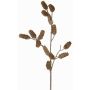 Ramo di abete decorativo LONGIH con pigne, marrone-bianco, 75cm