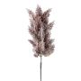 Ramo decorativo erba della pampa PANCHE con pannocchia, melanzana, 90 cm