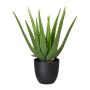 Aloe vera artificiale KRONFA in vaso decorativo, verde, 35 cm