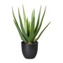 Pianta succulenta artificiale Aloe Vera KRONFA in vaso decorativo, verde, 45 cm