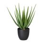Pianta succulenta artificiale Aloe Vera KRONFA in vaso decorativo, verde, 55 cm