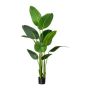 Pianta artificiale Strelitzia DREVORA, verde, 160 cm
