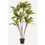 Pianta artificiale Cordyline MEIKE, tronchi artificiali, vaso decorativo, verde, 160 cm