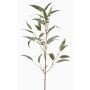 Ramo artificiale Eucalipto JURKA con frutti, verde-grigio, 90 cm