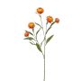 Ramo decorativo fiore di paglia SNAVIK, arancione, 70 cm