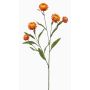 Ramo decorativo fiore di paglia SNAVIK, arancione, 70 cm