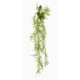 Pianta artificiale pendente Asparagus Plumosus SHALLON su ramo, verde, 110 cm