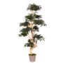 Albero decorativo acero giapponese SLAWIK, tronco vero, verde, 185 cm - Made in Italy