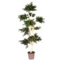 Albero artificiale acacia BOHDAN con tronco naturale, crossdoor, verde, 185 cm - Made in Italy