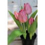 Tulipano artificiale CAITLYN in vaso decorativo, lilla-verde, 25cm, Ø2-6cm
