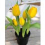 Tulipano artificiale CAITLYN in vaso decorativo, giallo-verde, 25cm, Ø2-6cm
