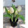Tulipano artificiale CAITLYN in vaso decorativo, bianco-verde, 25cm, Ø2-6cm