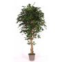 Ficus Benjamini artificiale YANEXY, tronchi naturali, verde, 175 cm - Made in Italy