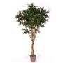 Acacia artificiale ANDRIY con tronchi reali, crossdoor, verde, 225 cm - Made in Italy