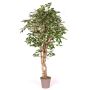Ficus Benjamini artificiale YANEXY, tronchi naturali, verde-bianco, 175 cm - Made in Italy