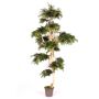Albero decorativo Acero giapponese AFANAS, tronchi naturali, verde-rosso, 250 cm - Made in Italy