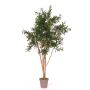 Acacia artificiale ANDRIY con tronchi reali, crossdoor, verde, 150 cm - Made in Italy