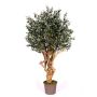 Olivo artificiale COTARIO, tronco vero, con frutti, 200 cm - Made in Italy