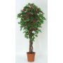 Bougainvillea artificiale INGTRAUD, tronchi reali, fiori, rosa, 175 cm - Made in Italy