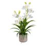 Fiore artificiale Cymbidium Orchidea CANFOL, vaso in melamina, radici, bianco, 60 cm