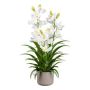 Fiore artificiale orchidea Cymbidium CANFOL, vaso in melamina, radici, bianco, 70 cm