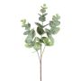 Ramo artificiale eucalipto BLIFER, grigio-verde, 50 cm