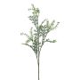 Ramo decorativo senecione argentato KRANVE con fiori, grigio-verde, 60 cm