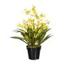 Fiore artificiale Oncidium Orchidea GLIMBAR, radici, giallo, 60 cm