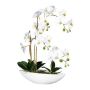 Orchidea artificiale Phalaenopsis JELTRON, vaso in ceramica, radici, bianco, 60 cm