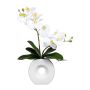 Orchidea artificiale Phalaenopsis DRELMOR, vaso in ceramica, radici, bianco, 35 cm