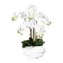 Orchidea Phalaenopsis artificiale ZALBROK, vaso decorativo bianco, radici, bianco, 75 cm