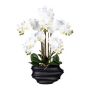 Orchidea Phalaenopsis artificiale ZALBROK, vaso decorativo nero, radici, bianco, 75 cm