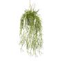 Pianta artificiale Rhipsalis SKRAKY, vaso decorativo, sospesa, verde, 60 cm