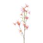 Ramo decorativo Tweedia solanoides ZORHIL, rosa metallizzato, 75 cm