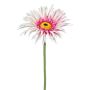 Fiore decorativo gerbera FELISY, rosa-bianco, 65 cm