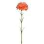 Fiore decorativo garofano ZENDIA, arancione, 45 cm