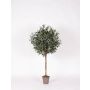 Olivo artificiale MILINO, tronco naturale, con frutti, 125 cm - Made in Italy