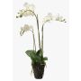 Orchidea finta PABLA con terriccio, bianco, 70cm, Ø8-10cm