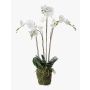 Orchidea finta PABLA con terriccio, bianco, 90cm, Ø10-13cm
