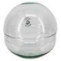 Terrario in vetro per piante grasse BRYSON, a forma di sfera, riciclato, trasparente, 19,5 cm, Ø 19,6 cm