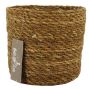 Cesto per fiori AMPARO, alghe marine, beige, 12,5 cm, Ø 14 cm