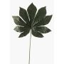 Foglia di aralia sintetica FARIS, verde, 55cm