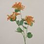 Achillea artificiale WONDI, arancione, 65 cm