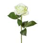 Fiore artificiale rosa ETAVOL, verde chiaro-bianco, 55cm, Ø8,5cm