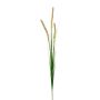 Decorazione ramo erba lampone RILVO, pannocchie, verde-rosa, 90 cm