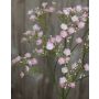 Velo da sposa artificiale LITAGO, rosa-bianco, 70cm, Ø1,5cm