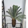 Palma artificiale Cycas WERFLI in vaso decorativo, 110 cm